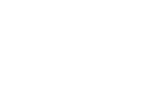 Sara Lyn Logo name